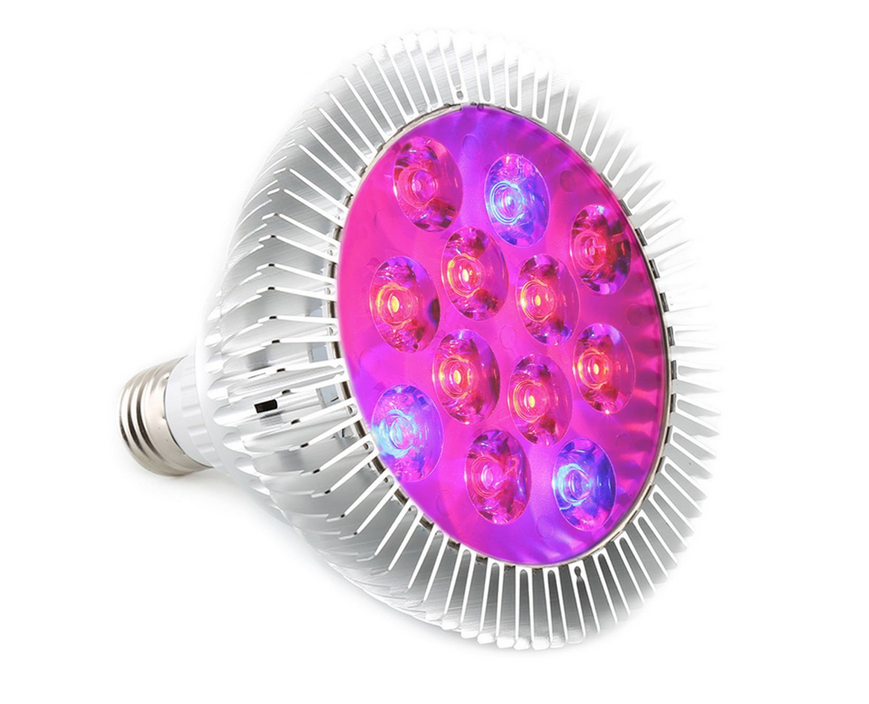 Apollo Horticulture 24W