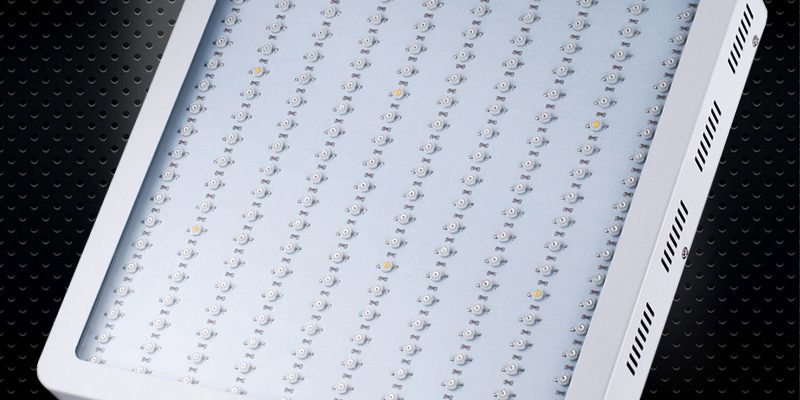 KING PLUS 1200W Led Grow Light