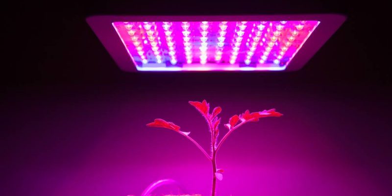 Marshydro-300W-LED-Grow-Light-3