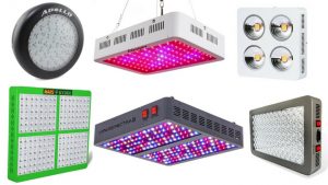 best-led-grow-lights