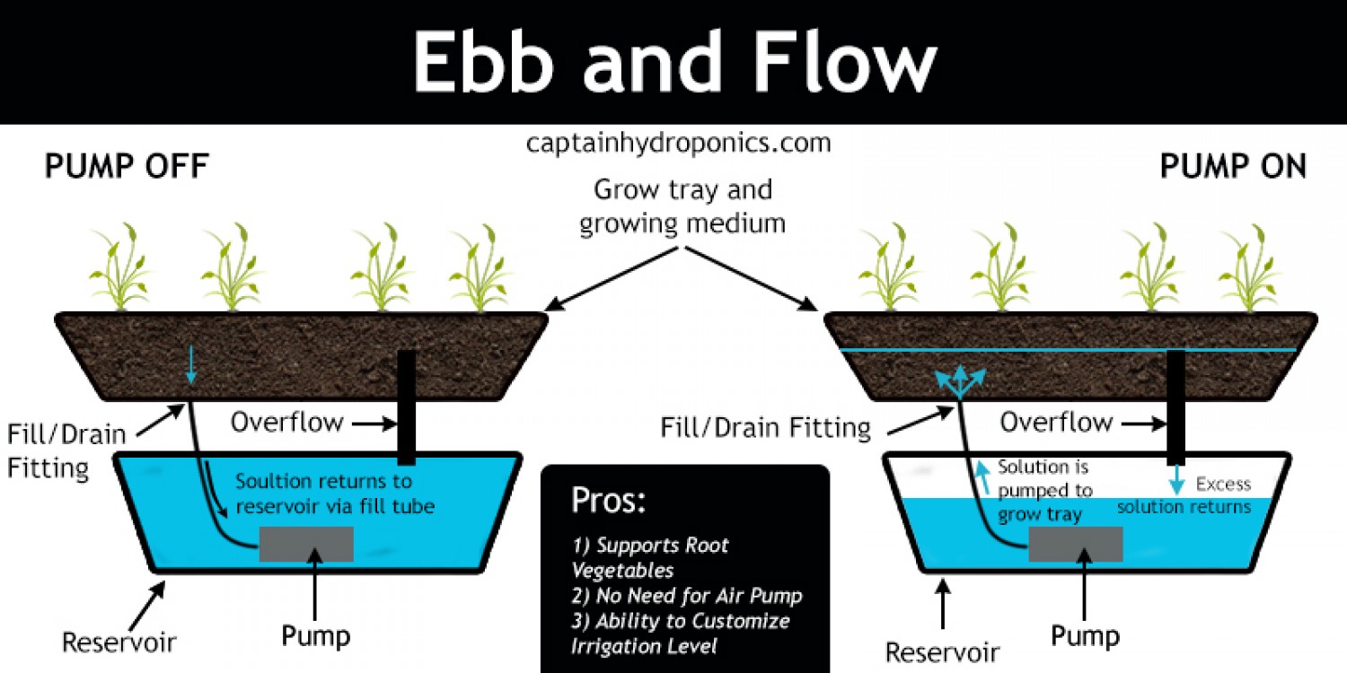 ebb and flow hydroponics kit