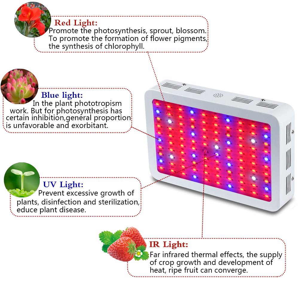 KING PLUS 1000W Led Grow Light-2