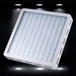 King 1200W Led Grow Light Review-Your First Step To Modern Horticulture