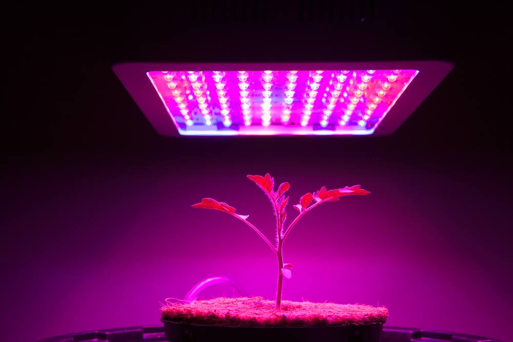 Marshydro-300W-LED-Grow-Light-3