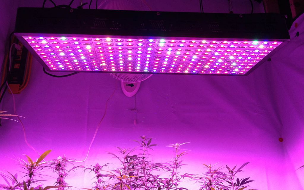 How To Setup A Low Budget Grow Room?