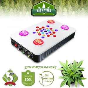 COB BloomBeast C525 525w Hydroponic