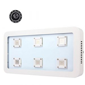 Morsen MAX6 1800W COB LED