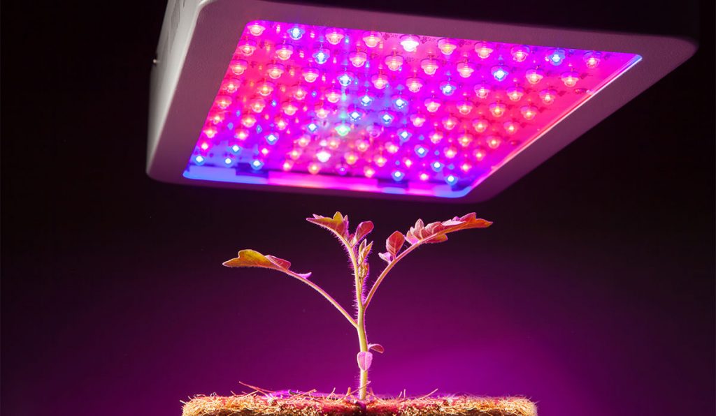 Reflector-Series Led Grow Lights 1000W 2000W 3000W Full Spectrum Indoor Plants