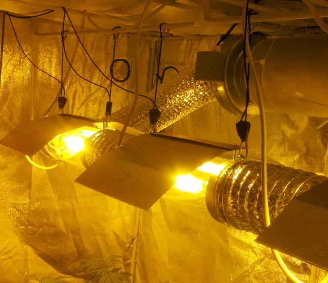 Best Inline Fans For Cannabis Grow Rooms (2024) Top 10 Reviews & Guide