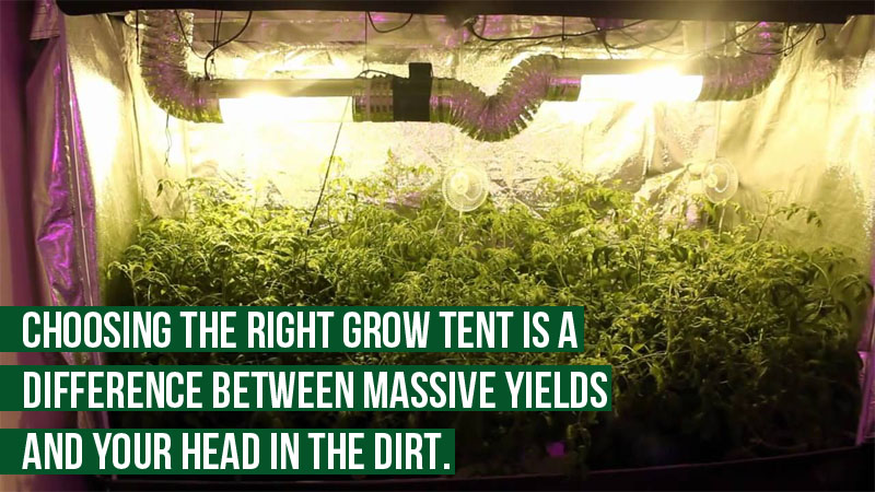 The size of the grow area