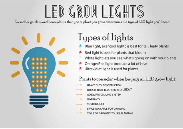 Why Do You Need The Best LED Grow Lights