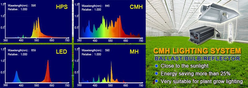 What is the CMH grow lights