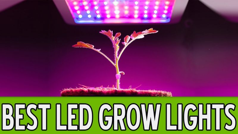 Led Grow Light Spectrum Chart