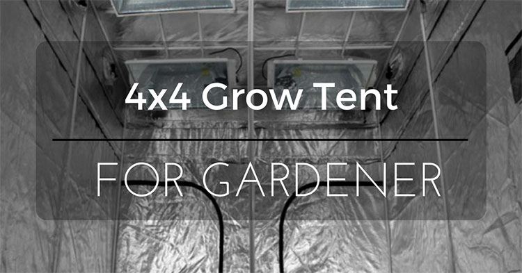 4x4-Grow-Tent