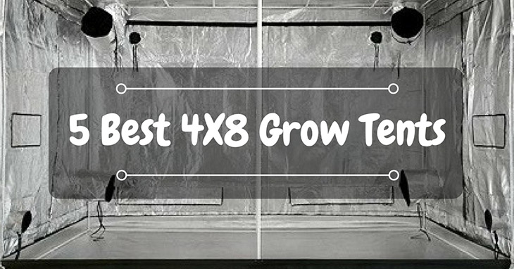 4x8-best-Grow-Tent