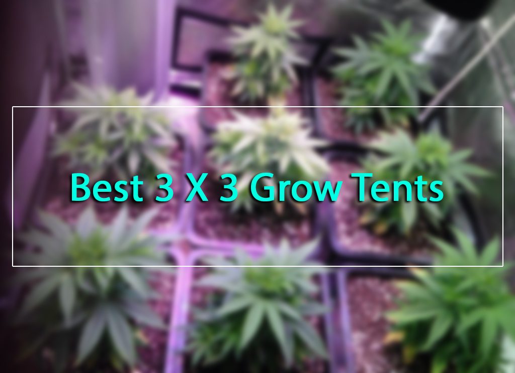 5 Best 3x3 Grow Tent Reviews 2020 Buyer S Guide