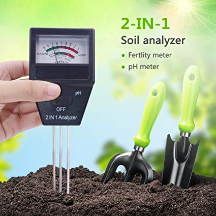How to test soil PH