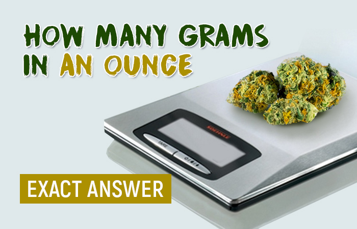 How Many Grams Are In An Ounce Of Weed