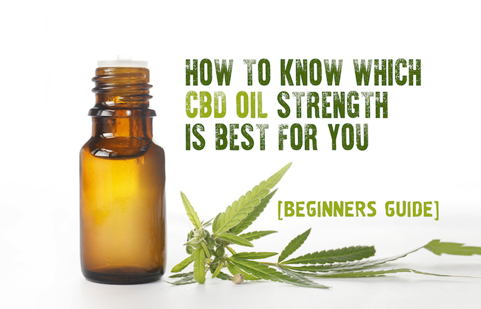 10 Best CBD Oil For Pain [2021 Reviews] | Our Top Picks for Pain