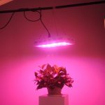 RECORDCENT LED Grow Light 1000w Full Spectrum Indoor Grow Lights  Reviews
