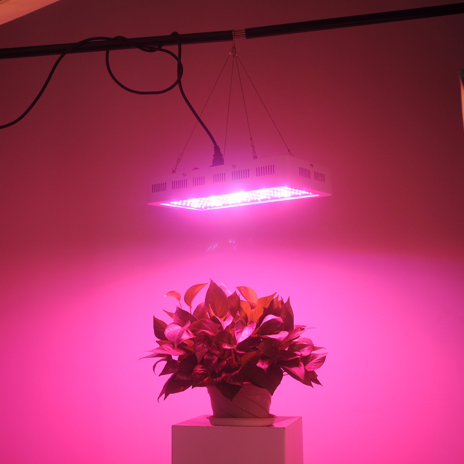 RECORDCENT LED Grow Light full review