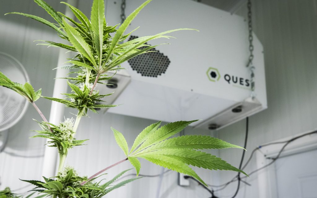 grow-room-humidity-control