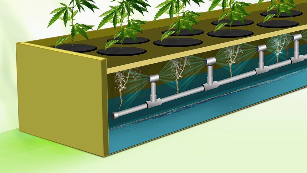 Aeroponics System