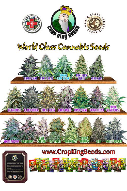 Crop King Seeds