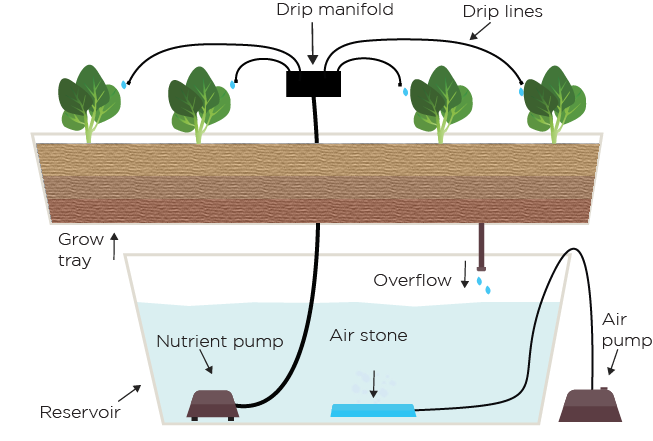 Drip-System