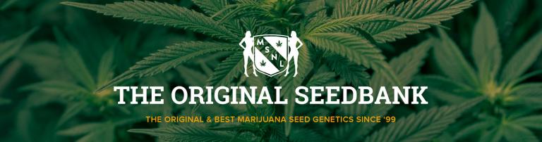 MSNL Seedbank