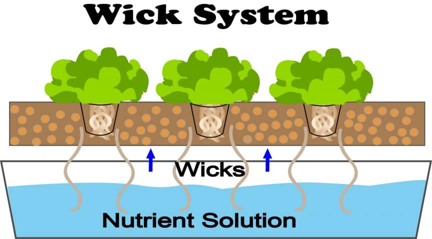 Wick-System-hydroponics