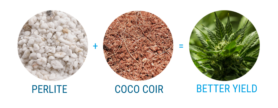 cannabis with coco coir