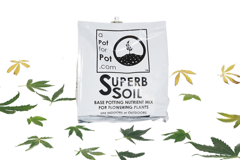 10 Best Soil for Growing Marijuana Indoor [2024 Reviews]