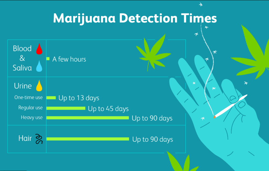 how-long-does-marijuana-stay-in-the-system