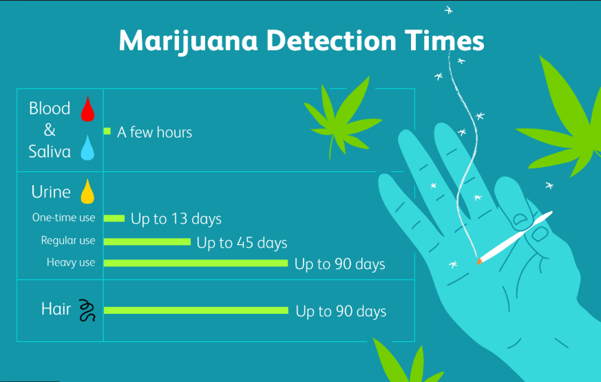 how-long-does-weed-stay-in-your-system-blood-urine-hair-and-saliva