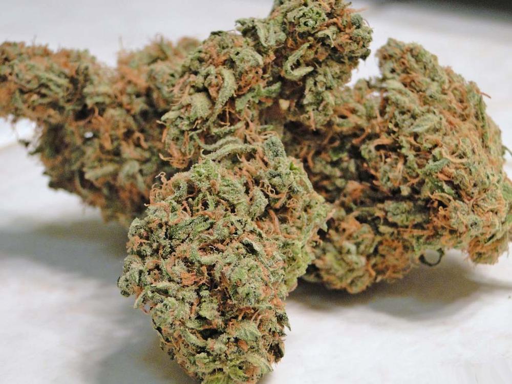 Indica Strain