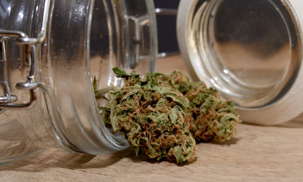 Storing Your Marijuana Buds | How To Store Weed For Extended Periods of Time