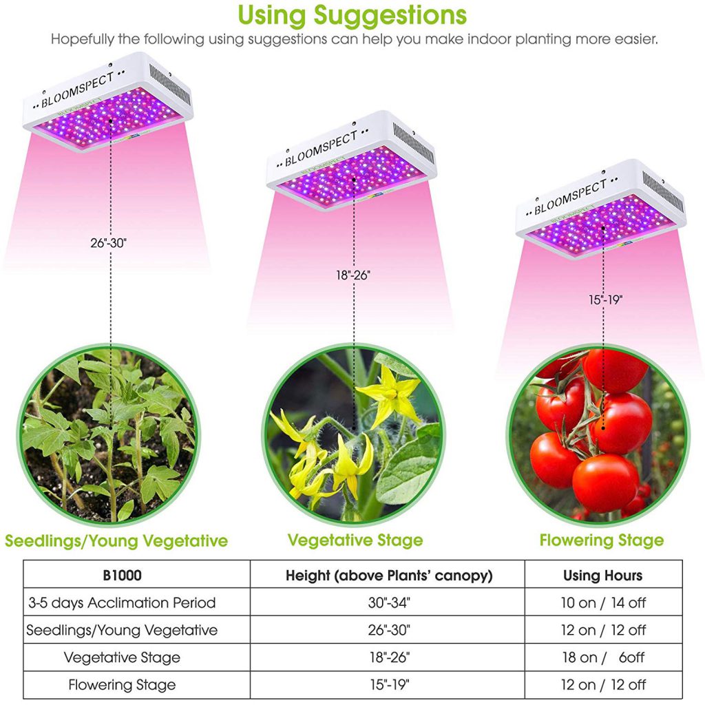 BLOOMSPECT 1000W LED