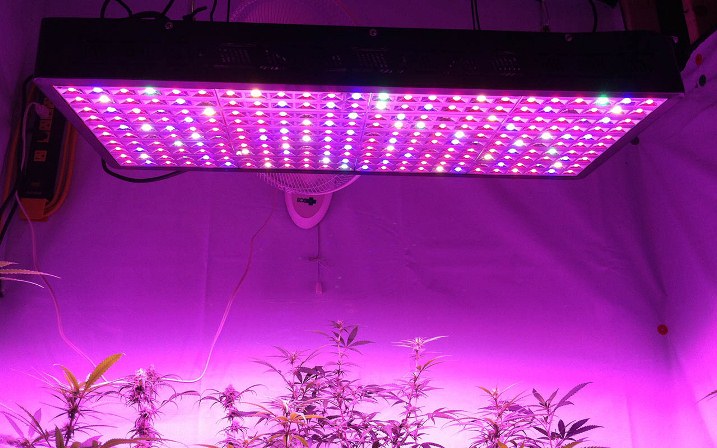 LED-grow-lights-300w