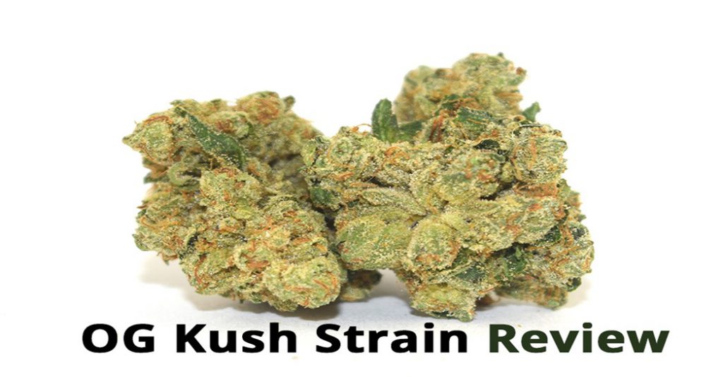 OG-Kush-Strain-Review