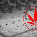 Best Canadian Seed Banks | Buy Marijuana Seeds Online