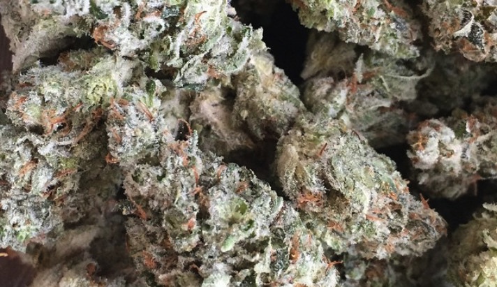 gorilla glue strain review