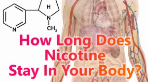 How Long Does Nicotine Stay In Your System