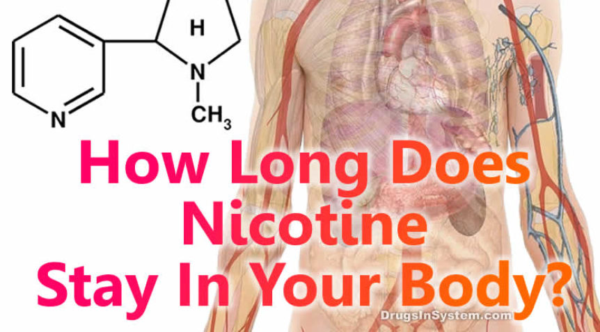 How long are you staying here. How long Nicotine stays in Human System. Nicotine Ladies.