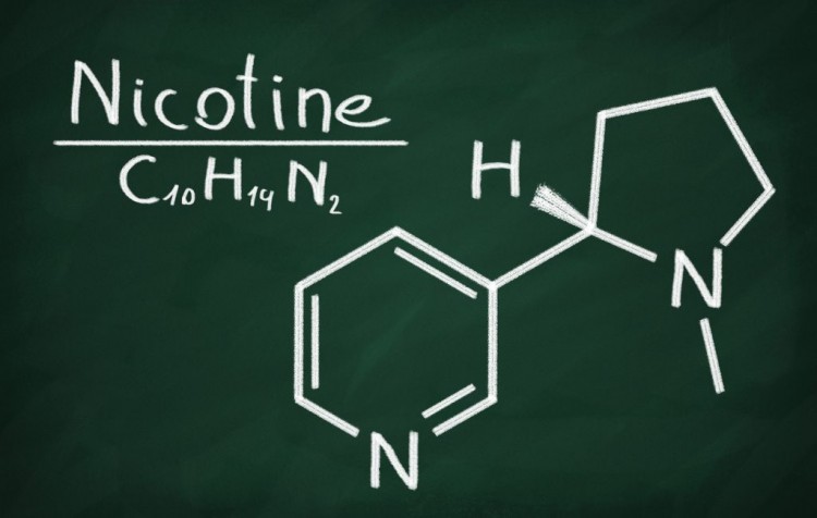 how long does nicotine stay in your system