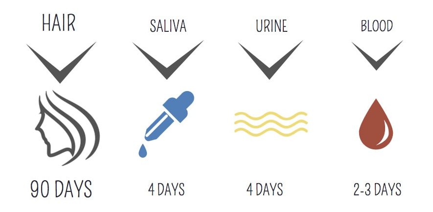 how long nicotine stays in your blood