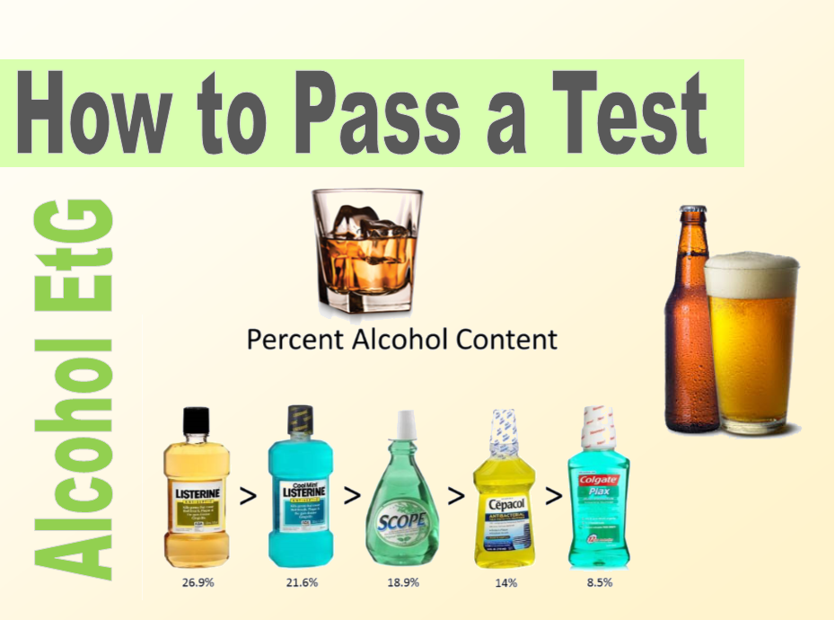 Drug Test Pass Chart