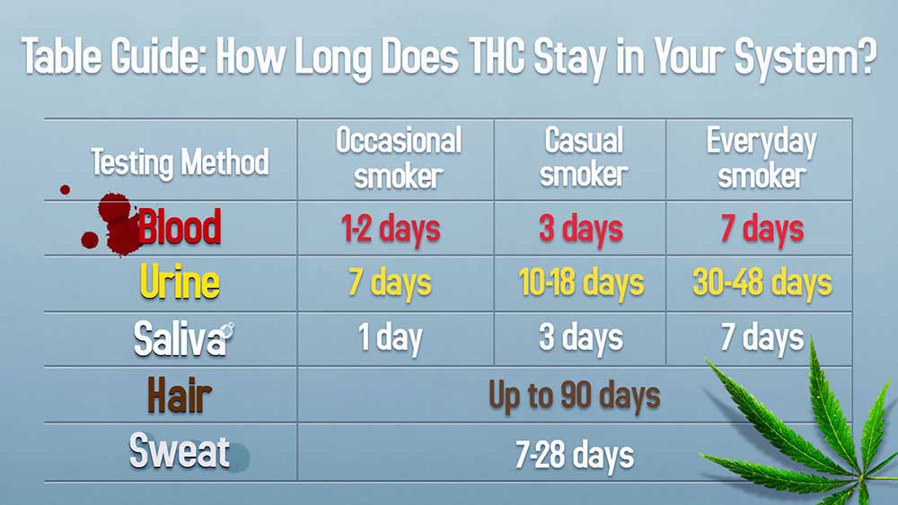 Marijuana Chart For Drug Test