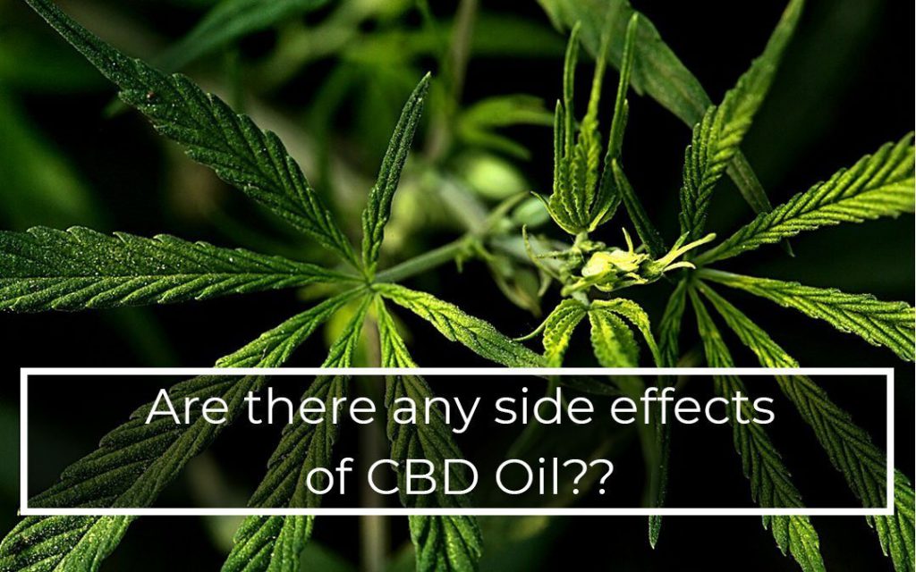 9 Side Effects of CBD Oil | Is CBD Safe to use?