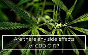 Are-there-any-side-effects-using-cbd-oil